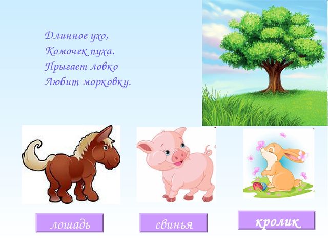 Интеллектуальная игра для дошколят "Загадки про животных"