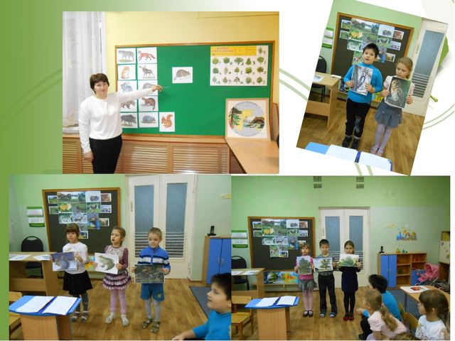Презентация о Воронежском заповеднике