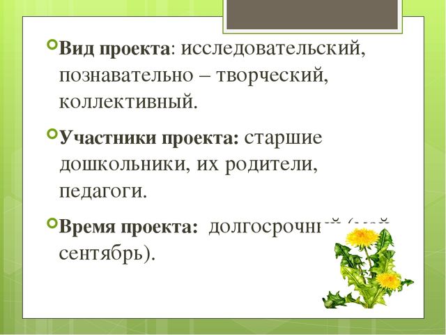 Презентация экологического проекта "Цветочные истории"