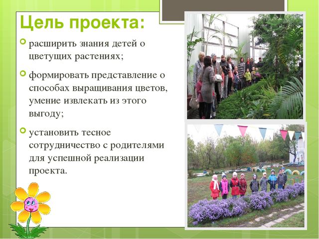 Презентация экологического проекта "Цветочные истории"