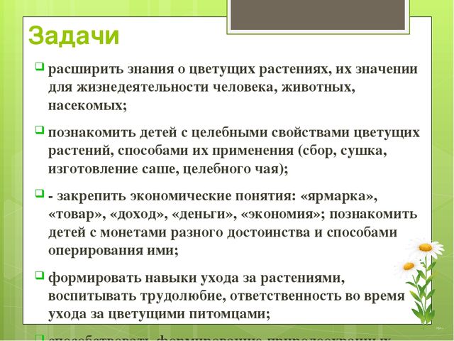 Презентация экологического проекта "Цветочные истории"