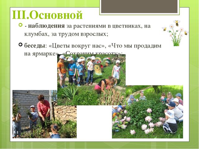 Презентация экологического проекта "Цветочные истории"
