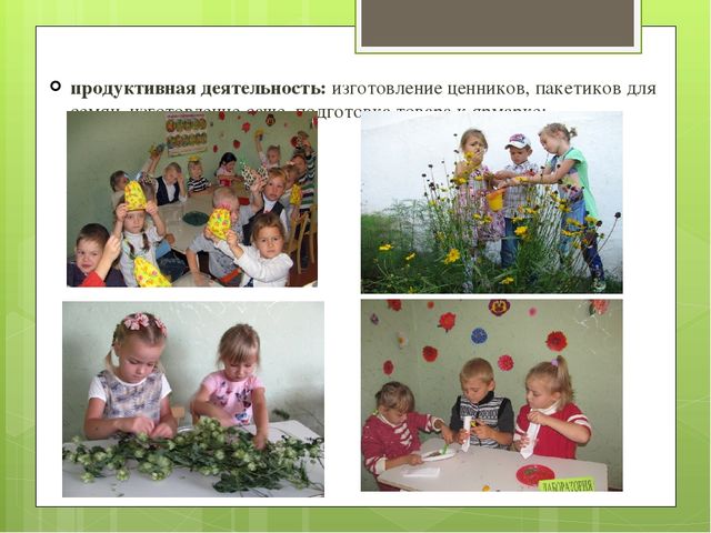 Презентация экологического проекта "Цветочные истории"