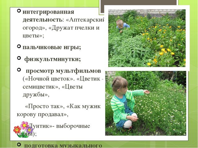 Презентация экологического проекта "Цветочные истории"