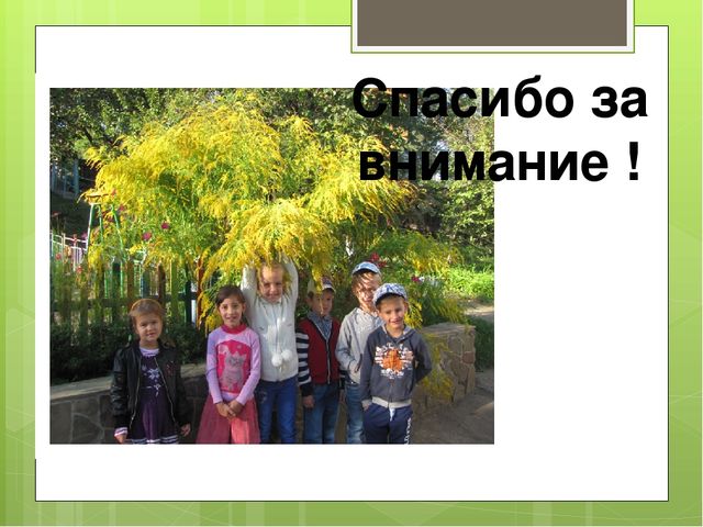 Презентация экологического проекта "Цветочные истории"