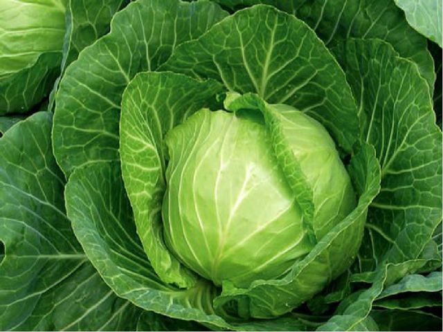 Презентация :"Овощи и фрукты для физического развития лучшие продукты" старшая группа