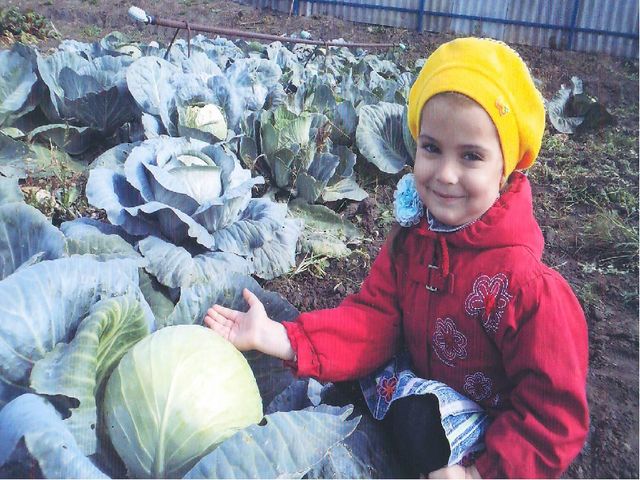 Презентация :"Овощи и фрукты для физического развития лучшие продукты" старшая группа