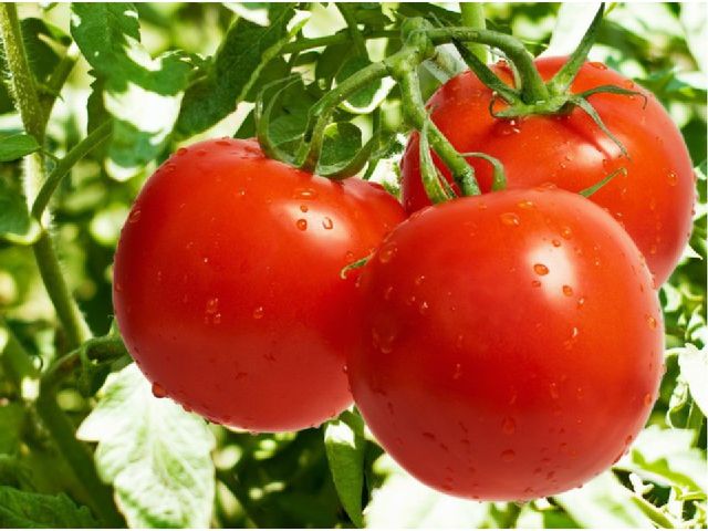 Презентация :"Овощи и фрукты для физического развития лучшие продукты" старшая группа