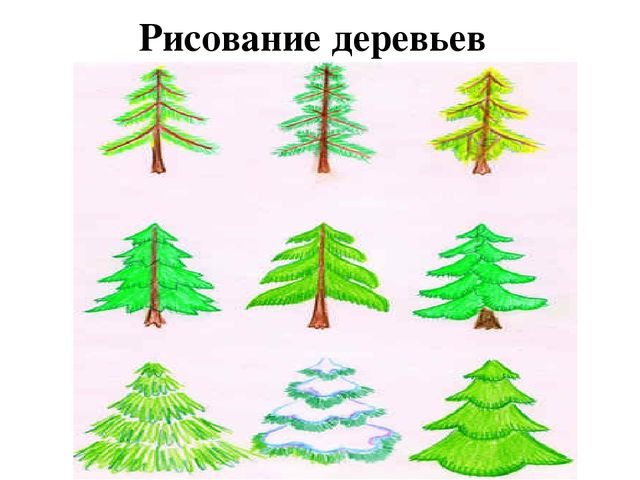 Презентация "методика рисования по группам в усложнении"