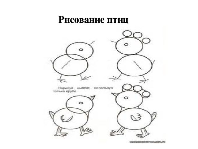 Презентация "методика рисования по группам в усложнении"