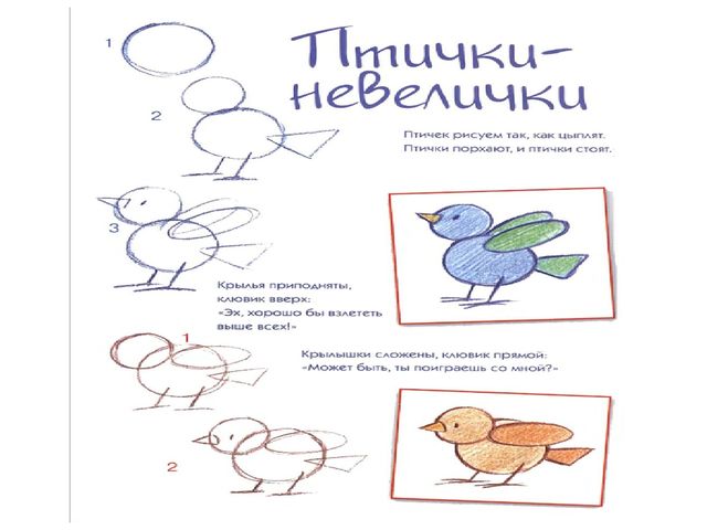 Презентация "методика рисования по группам в усложнении"
