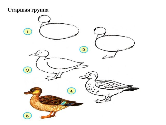 Презентация "методика рисования по группам в усложнении"