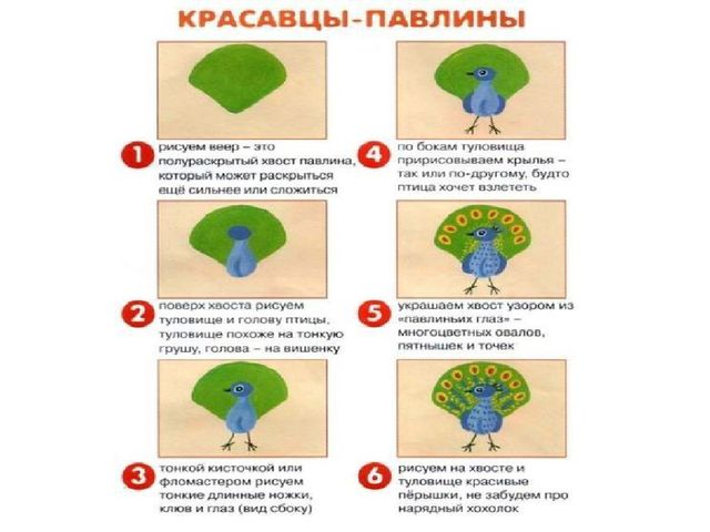 Презентация "методика рисования по группам в усложнении"