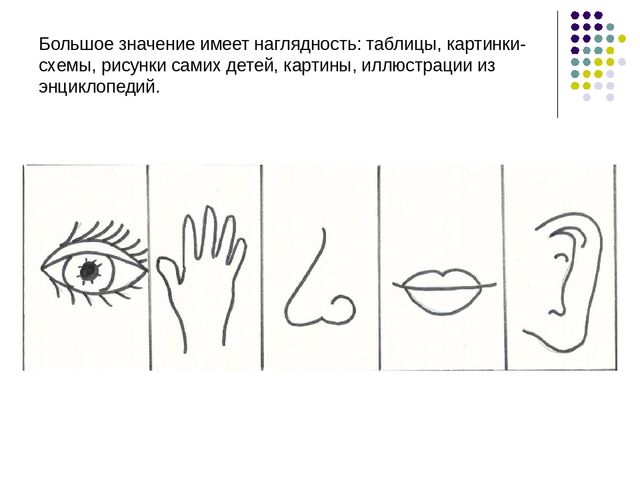 Тема «Опытно-экспериментальная деятельность детей дошкольного возраста на занятиях по ознакомлению с окружающим и в повседневной жизни».