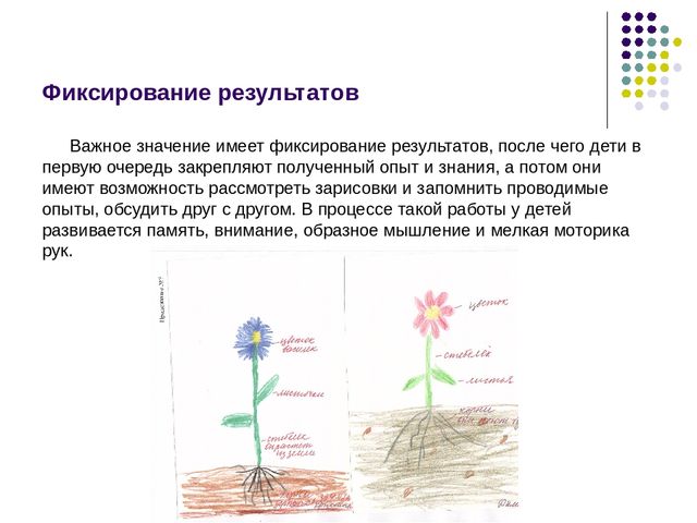 Тема «Опытно-экспериментальная деятельность детей дошкольного возраста на занятиях по ознакомлению с окружающим и в повседневной жизни».