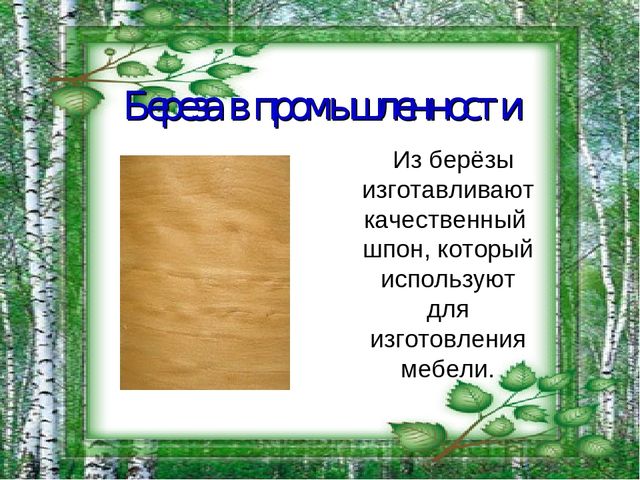 Презентация на тему "Берёза - символ России"