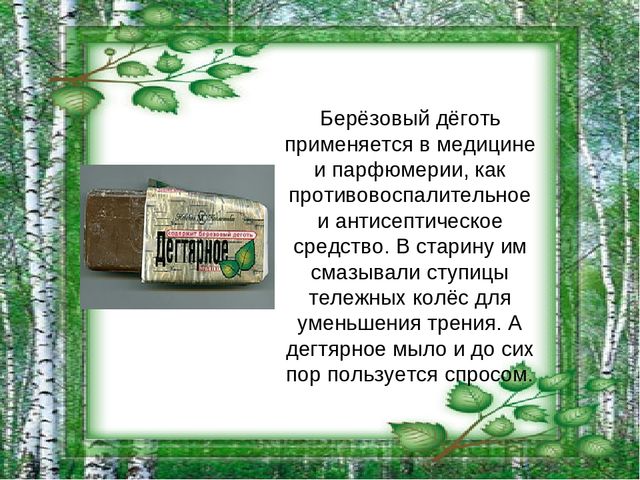 Презентация на тему "Берёза - символ России"