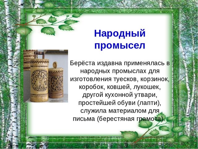 Презентация на тему "Берёза - символ России"