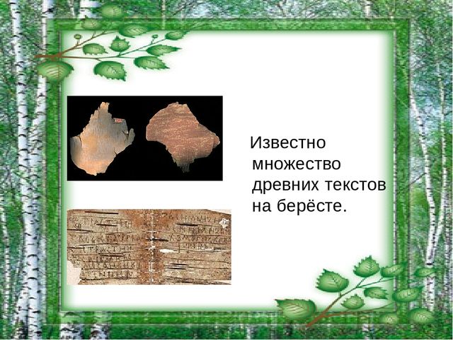 Презентация на тему "Берёза - символ России"