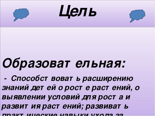Презентация мини - проекта "Наблюдение за ростом лука"