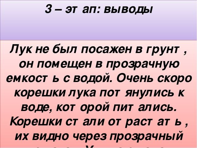 Презентация мини - проекта "Наблюдение за ростом лука"