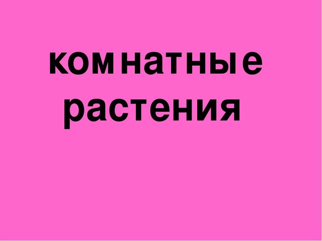Презентация "Загадки о комнатных растениях"