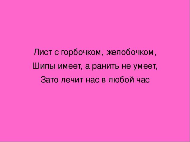 Презентация "Загадки о комнатных растениях"