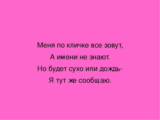 Презентация "Загадки о комнатных растениях"