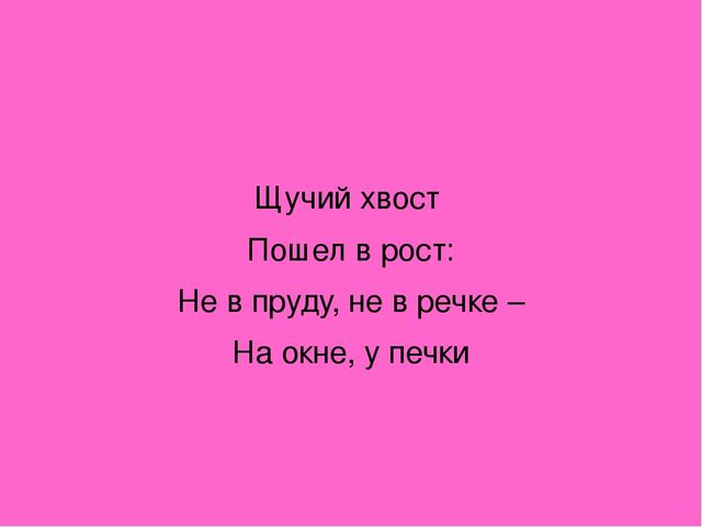 Презентация "Загадки о комнатных растениях"