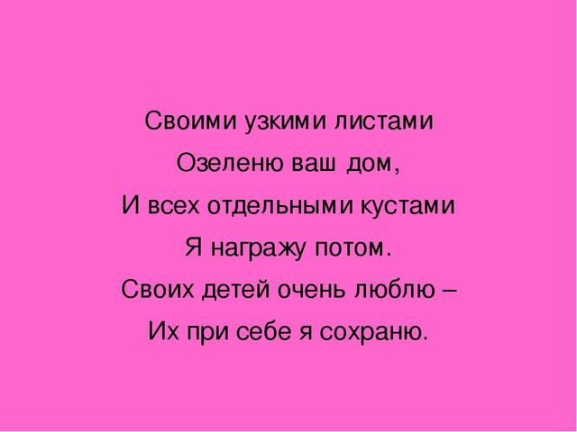 Презентация "Загадки о комнатных растениях"