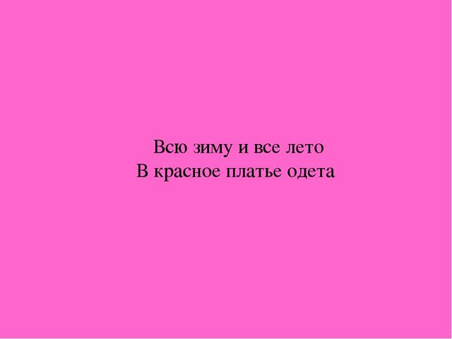 Презентация "Загадки о комнатных растениях"