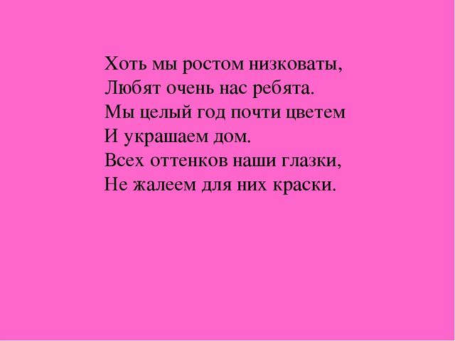 Презентация "Загадки о комнатных растениях"