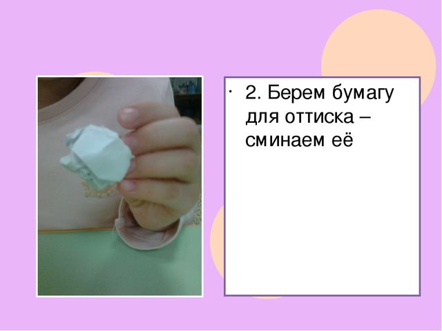 Презентация к НОД в подготовительной к школе группе на тему "Комнатные растения"