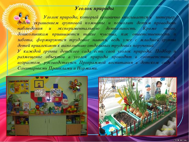 Презентация "Предметно-развивающая среда первой младшей группы №1"