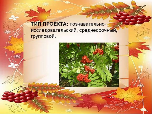 Презентация проекта по экологии "Рябинка"