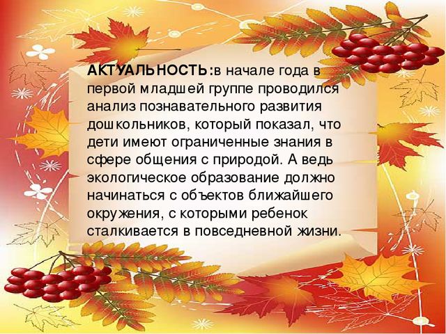 Презентация проекта по экологии "Рябинка"