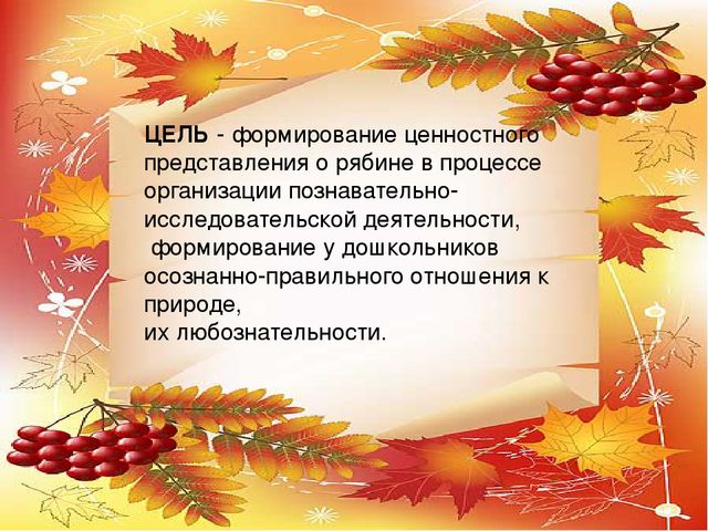 Презентация проекта по экологии "Рябинка"