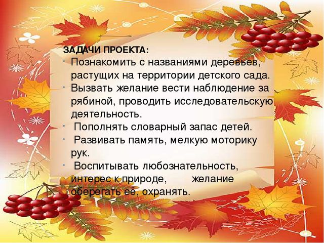 Презентация проекта по экологии "Рябинка"