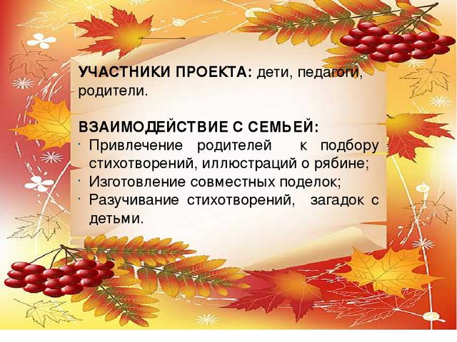 Презентация проекта по экологии "Рябинка"