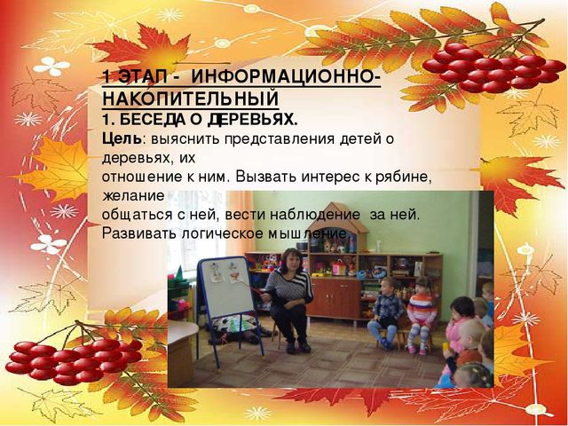 Презентация проекта по экологии "Рябинка"