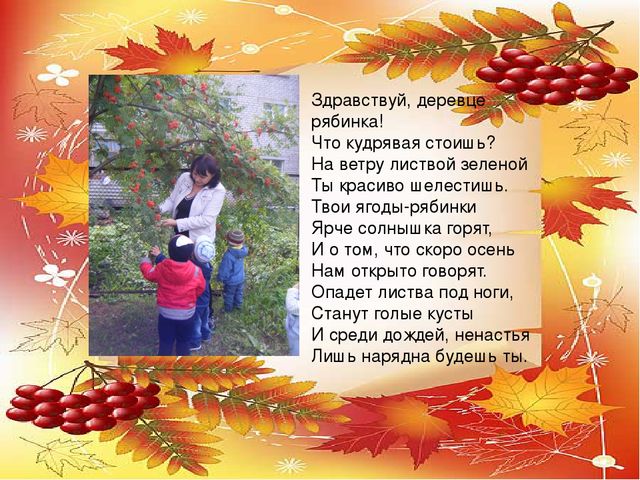 Презентация проекта по экологии "Рябинка"
