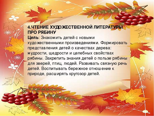 Презентация проекта по экологии "Рябинка"