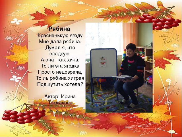 Презентация проекта по экологии "Рябинка"