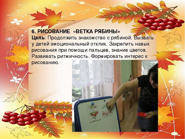 Презентация проекта по экологии "Рябинка"
