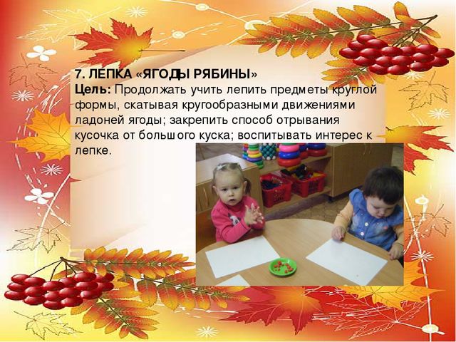 Презентация проекта по экологии "Рябинка"
