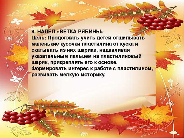 Презентация проекта по экологии "Рябинка"