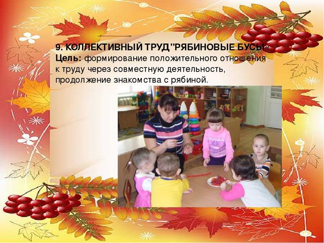 Презентация проекта по экологии "Рябинка"
