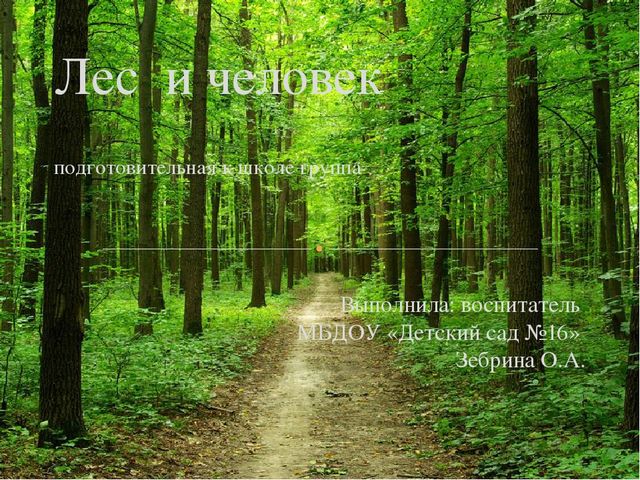 Презентация " Лес и человек"