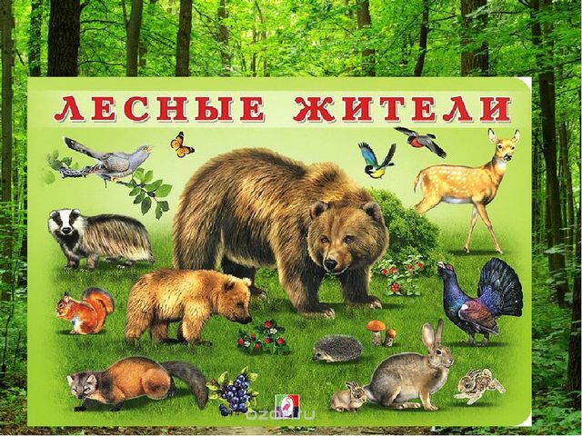 Презентация " Лес и человек"