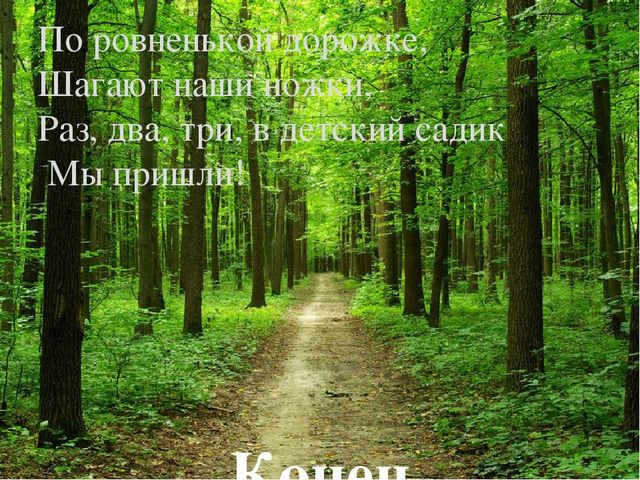 Презентация " Лес и человек"